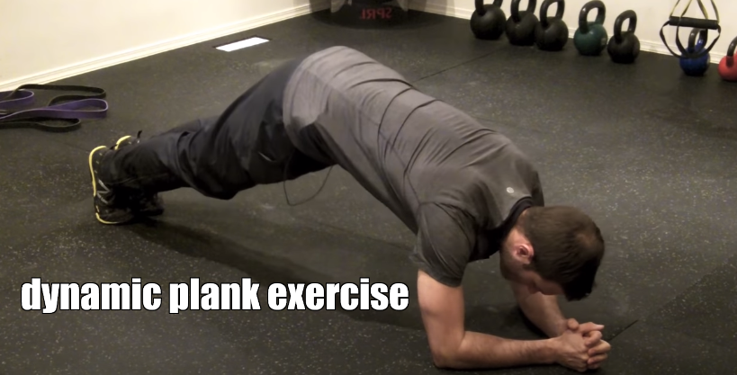 dynamic plank exercise