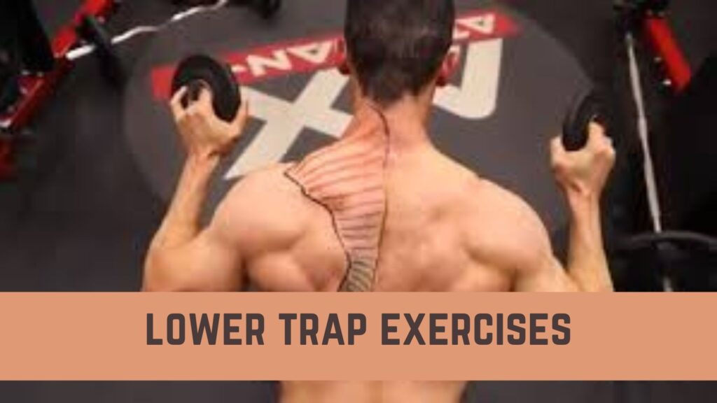 lower trap exercises