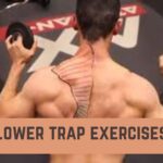 lower trap exercises