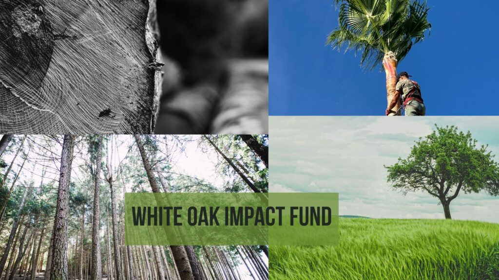 white oak impact fund