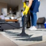 Carpet Cleaner Service