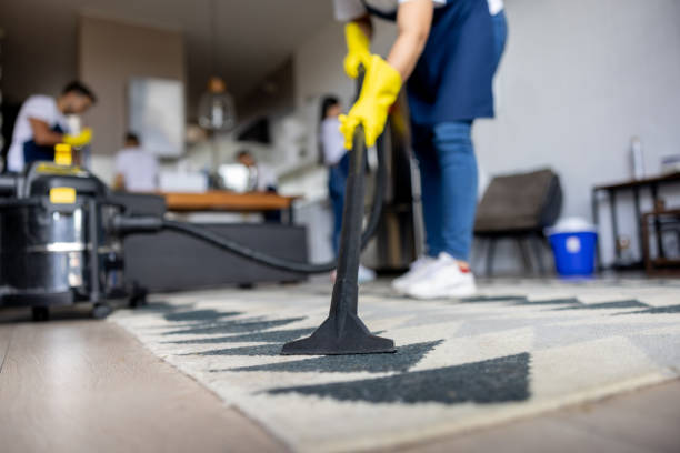 Carpet Cleaner Service